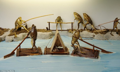 Độc đáo bảo tàng… ếch tại Croatia - ảnh 8