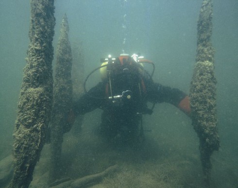 Khám phá những ngôi nhà tiền sử xung quanh dãy núi Alpes - ảnh 10