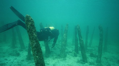 Khám phá những ngôi nhà tiền sử xung quanh dãy núi Alpes - ảnh 9