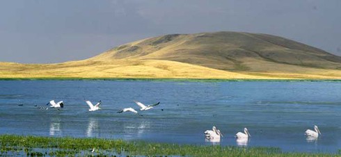 Choáng ngợp cảnh sắc các hồ và vùng thảo nguyên phía bắc Kazakhstan - ảnh 8