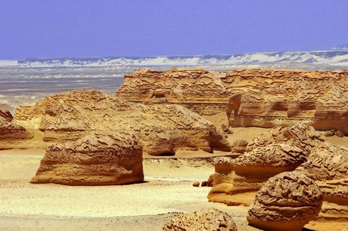 Thung lũng cá voi - Di sản thiên nhiên thế giới tại Ai Cập - ảnh 2