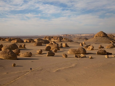 Thung lũng cá voi - Di sản thiên nhiên thế giới tại Ai Cập - ảnh 3