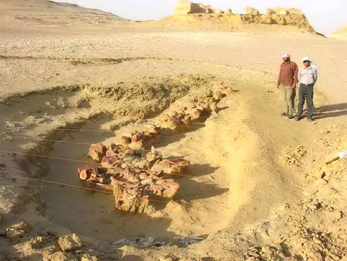 Thung lũng cá voi - Di sản thiên nhiên thế giới tại Ai Cập - ảnh 4