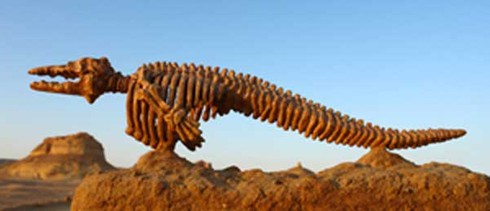 Thung lũng cá voi - Di sản thiên nhiên thế giới tại Ai Cập - ảnh 7