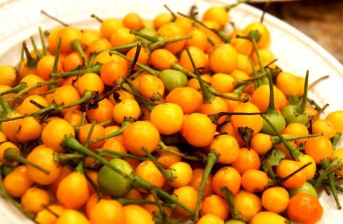 Ớt đắt nhất thế giới giá 26.000 USD/kg - ảnh 1