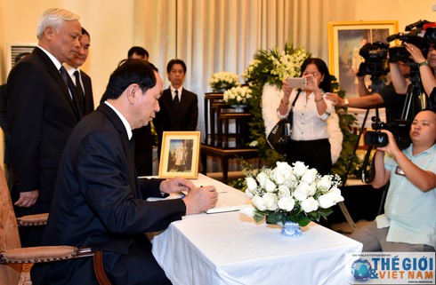 Chủ tịch nước Trần Đại Quang viếng Nhà Vua Thái Lan Bhumibol Adulyadej - ảnh 2