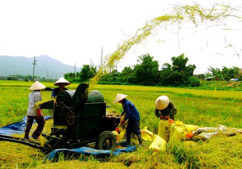 Thông tin truyền thông là 1 trong 19 tiêu chí quốc gia về xã nông thôn mới giai đoạn 2016-2020 - ảnh 1
