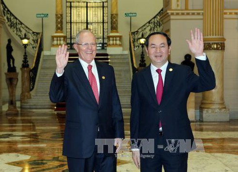 Chủ tịch nước Trần Đại Quang hội đàm với Tổng thống Peru - ảnh 1