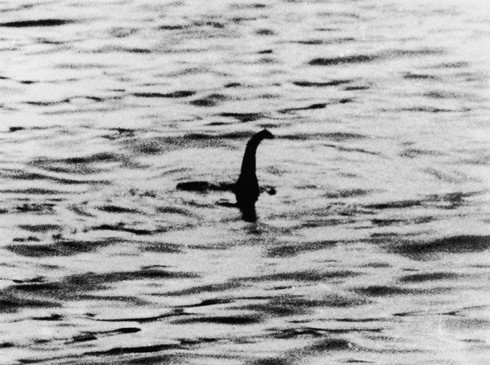 Bức ảnh cho thấy quái vật vui đùa dưới hồ Loch Ness? - ảnh 3