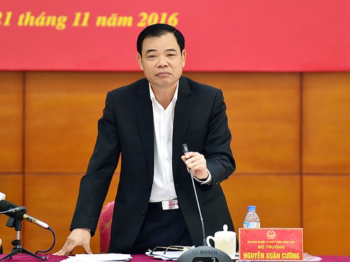Tổ công tác của Thủ tướng ‘truy’ gay gắt Tổng cục Thủy sản - ảnh 2