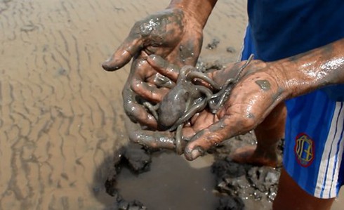 Đi săn đặc sản