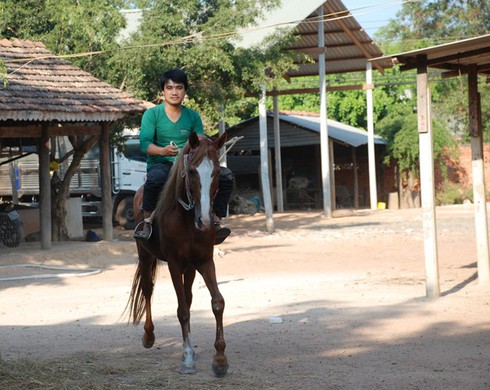 Nơi mỗi con ngựa có giá bán hàng trăm triệu đồng - ảnh 6