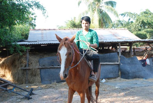 Nơi mỗi con ngựa có giá bán hàng trăm triệu đồng - ảnh 2
