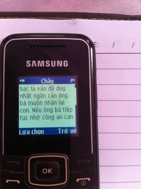 Hé lộ kẻ bắt cóc, sát hại nam sinh rồi thả trôi sông - ảnh 2