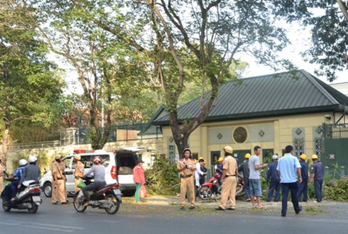 Tai nạn hi hữu: Trời lặng gió, cây gãy đè trúng 2 cô gái đi đường - ảnh 1