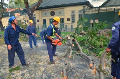 Tai nạn hi hữu: Trời lặng gió, cây gãy đè trúng 2 cô gái đi đường - ảnh 4