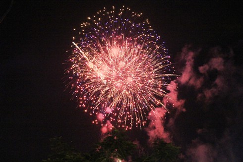 Người Sài Gòn háo hức xem pháo hoa đêm 30/4 - ảnh 13