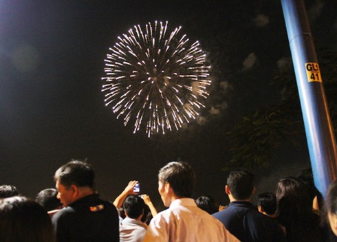 Người Sài Gòn háo hức xem pháo hoa đêm 30/4 - ảnh 17