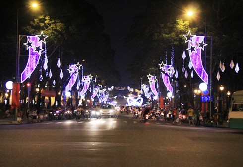 Người Sài Gòn háo hức xem pháo hoa đêm 30/4 - ảnh 2