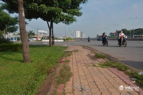 Hung thủ phi tang xác trước KCN là con ruột nạn nhân - ảnh 1