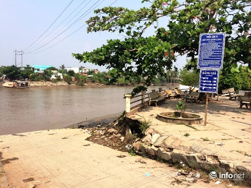 Tiền Giang: Không giấy phép, vẫn vô tư đưa khách qua sông bằng phà gỗ - ảnh 1