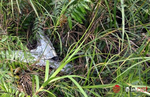 Công bố nguyên nhân trực thăng UH-1 gặp nạn - ảnh 1