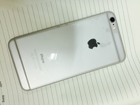 Cảnh sát hình sự bắt kẻ giả gái, vuốt ve đàn ông để móc túi - ảnh 2