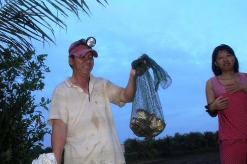 Mưa miền Tây, rủ nhau đi soi ếch - ảnh 3