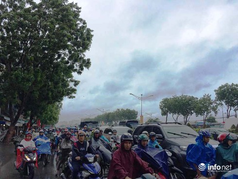 TP.HCM: Mưa lớn, cây xanh bật gốc đè trúng người đi đường - ảnh 3