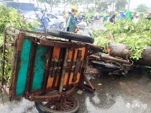 TP.HCM: Mưa lớn, cây xanh bật gốc đè trúng người đi đường - ảnh 1