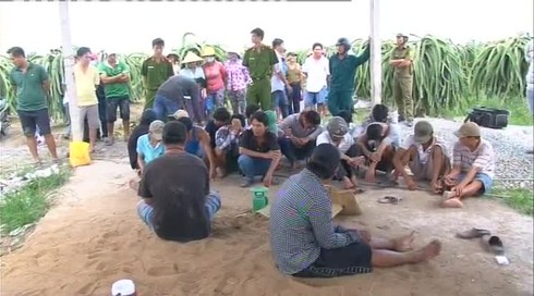 Hàng chục con bạc nháo nhào khi trinh sát bao vây trường gà - ảnh 1