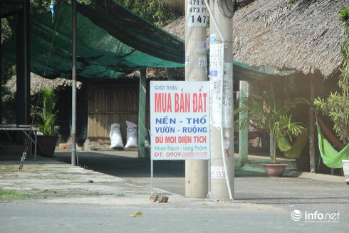 Đằng sau cơn