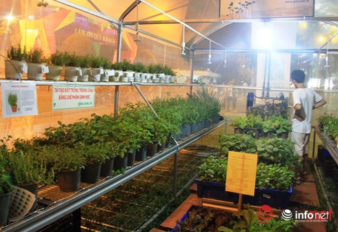 TP.HCM: Chợ phiên nông sản lần 5 sẽ có gần 200 gian hàng - ảnh 1