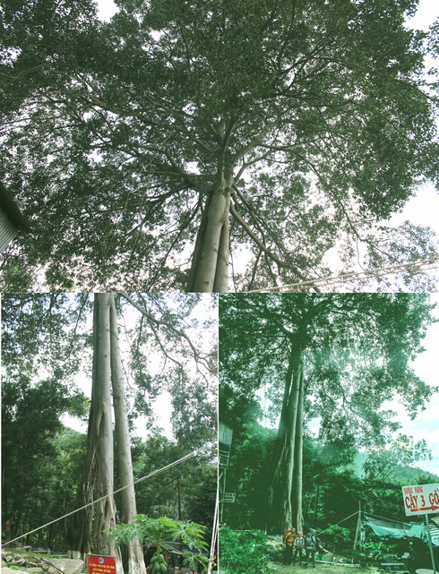 Tận hưởng cảm giác