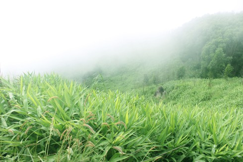 Tận hưởng cảm giác