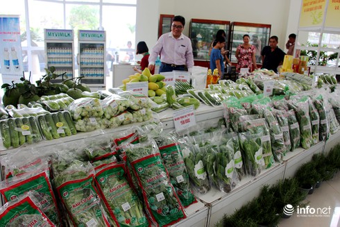 Phát huy phong trào “Nông dân sản xuất, kinh doanh giỏi đoàn kết giúp nhau làm giàu và giảm nghèo bền vững” - ảnh 1