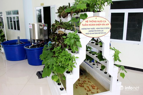 Phát huy phong trào “Nông dân sản xuất, kinh doanh giỏi đoàn kết giúp nhau làm giàu và giảm nghèo bền vững” - ảnh 2