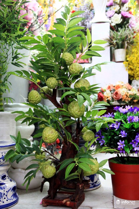 Hoa vải cao cấp giá hơn chục triệu