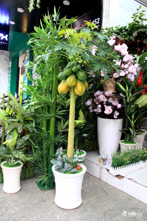 Hoa vải cao cấp giá hơn chục triệu