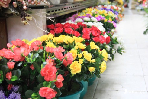 Hoa vải cao cấp giá hơn chục triệu