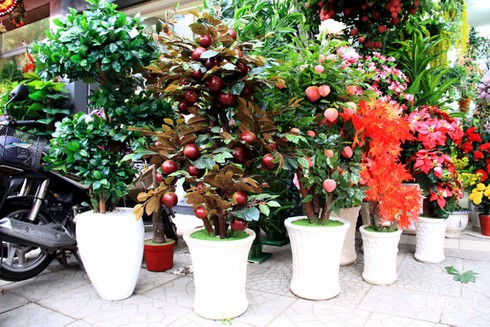 Hoa vải cao cấp giá hơn chục triệu