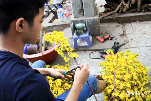 Hoa vải cao cấp giá hơn chục triệu