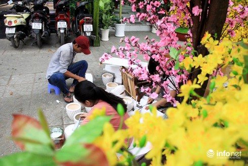 Hoa vải cao cấp giá hơn chục triệu