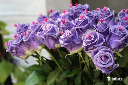 Người dân TP.HCM thích thú hoa hồng đen nhung độc, lạ cho ngày 8/3 - ảnh 3