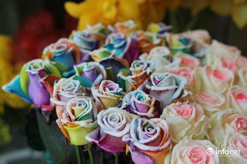 Người dân TP.HCM thích thú hoa hồng đen nhung độc, lạ cho ngày 8/3 - ảnh 2