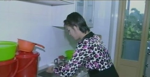 Rộ tin phu nhân chủ tịch Triều Tiên mang bầu - ảnh 1