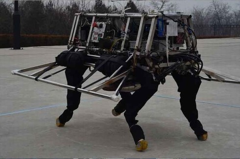 Robot mới của Trung Quốc là 'đồ nhái'? - ảnh 1