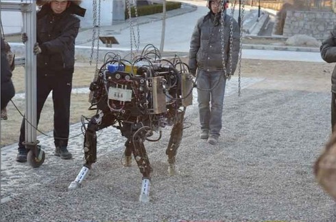 Robot mới của Trung Quốc là 'đồ nhái'? - ảnh 3