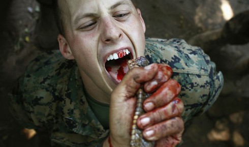 Quân nhân uống tiết rắn tại tập trận Hổ Mang Vàng - ảnh 5