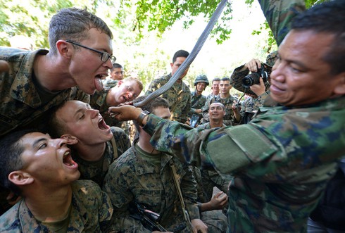 Quân nhân uống tiết rắn tại tập trận Hổ Mang Vàng - ảnh 3